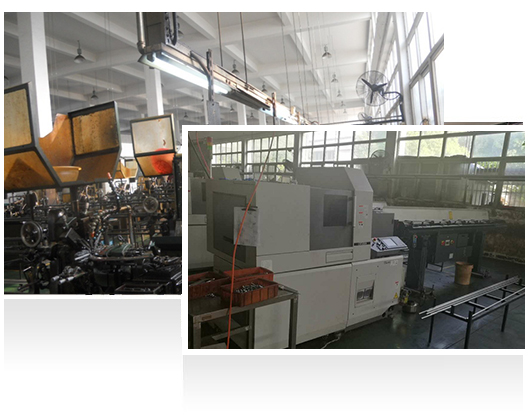 ��10����ţ�ʵ�����